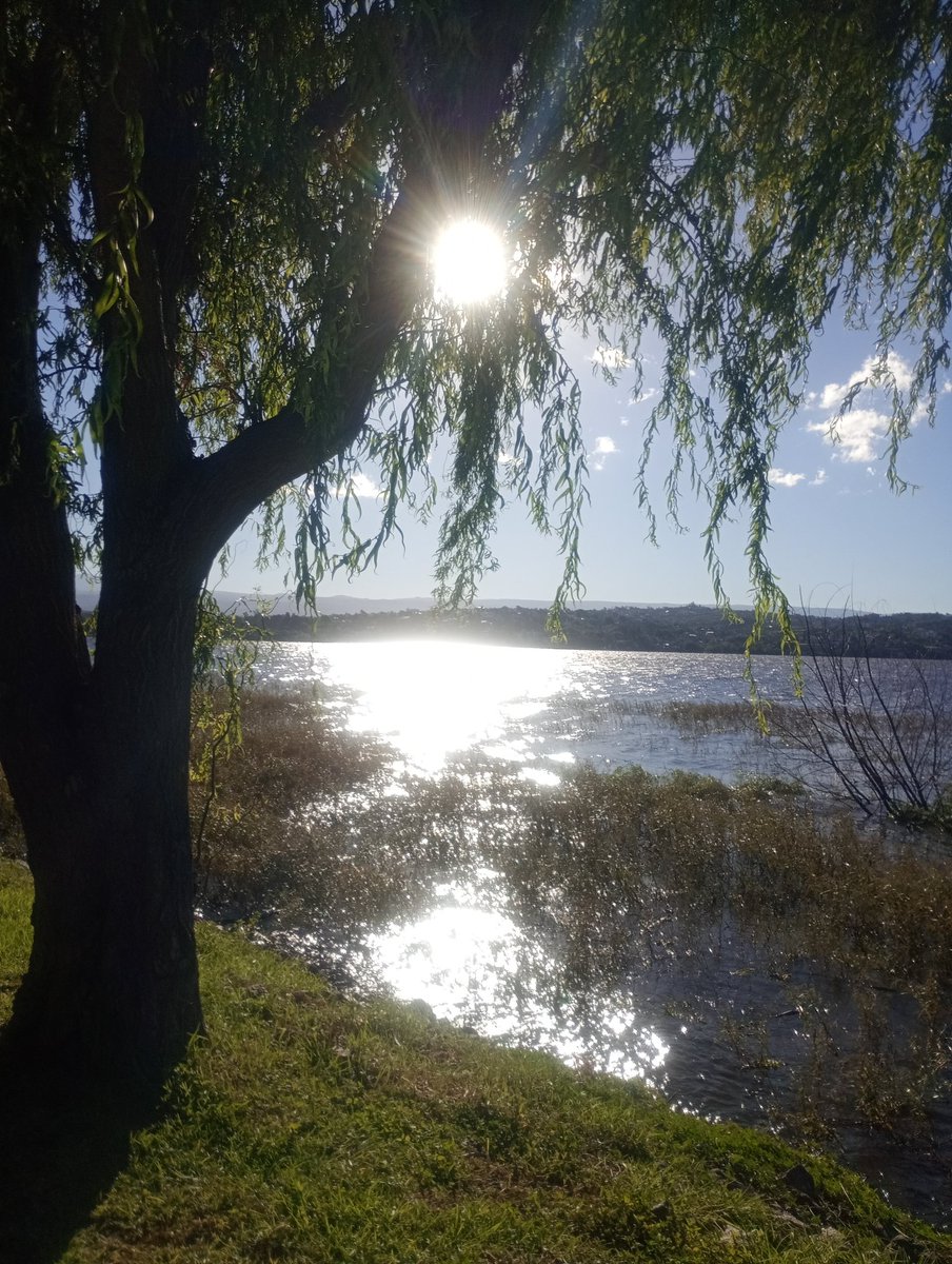 Ailu. 🐈‍⬛💛 tweet media