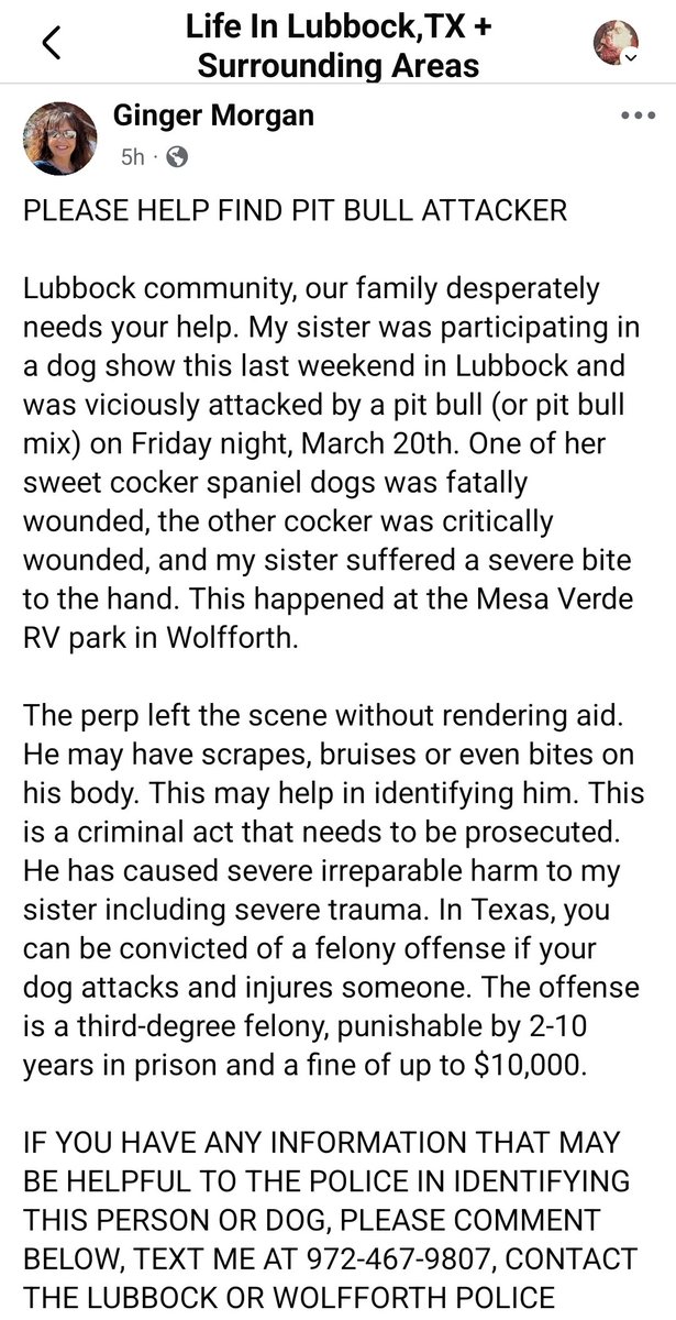 Bully Watch USA tweet media