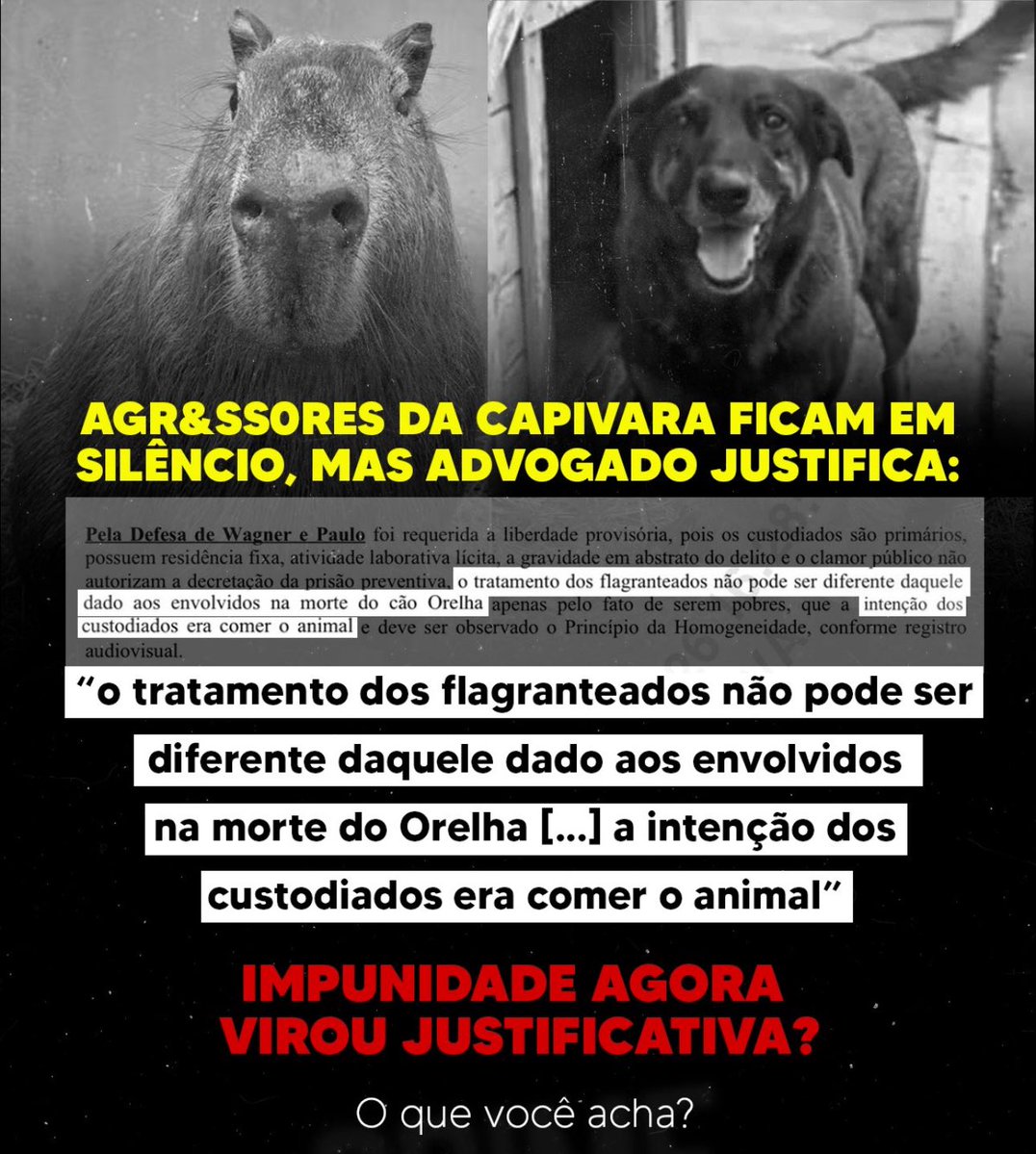 kaarolzx tweet media