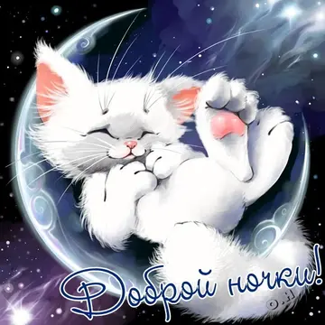 Гера tweet media