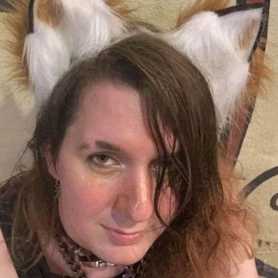 Tom’s Tidbits tweet media