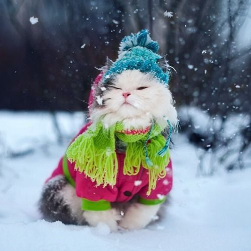 Stéphane Lefebvre - Slartzone production tweet media