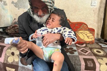 محمد شيبان tweet media