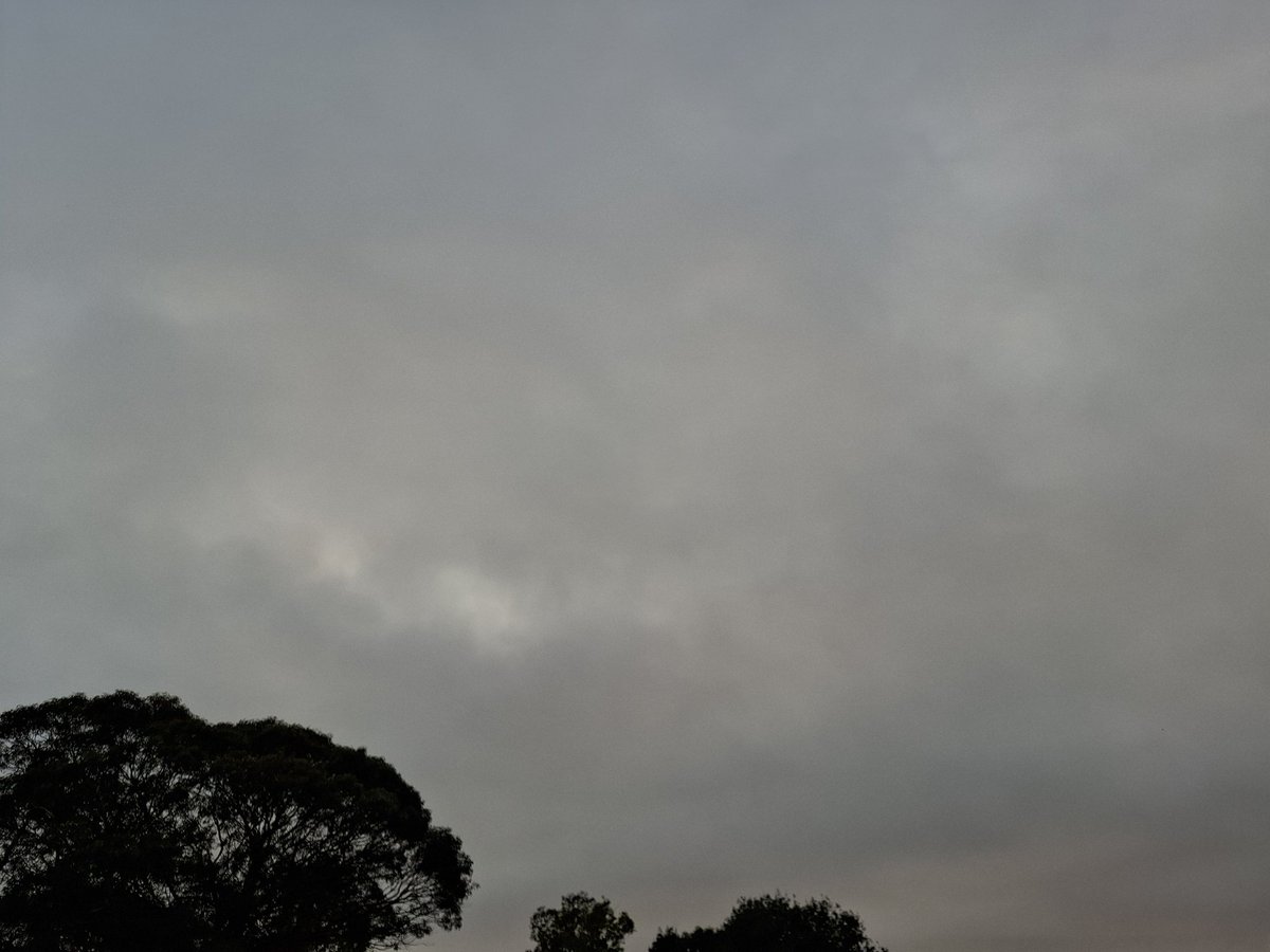 soporific tweet media