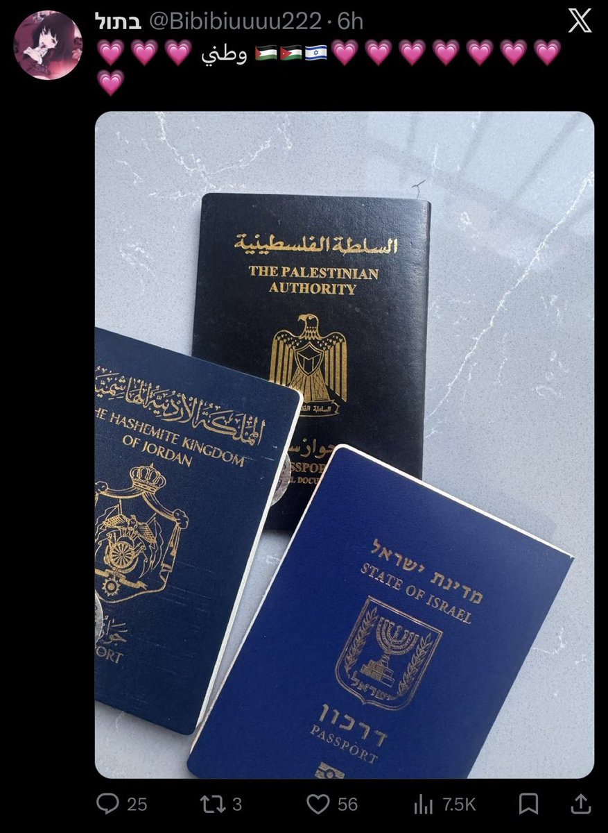 𝓗𝓾𝓼𝓪𝓶🇺🇸🇯🇴 tweet media