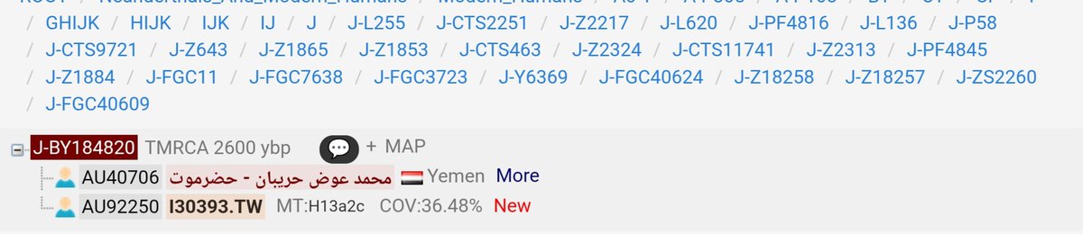 دَهَّاش tweet media