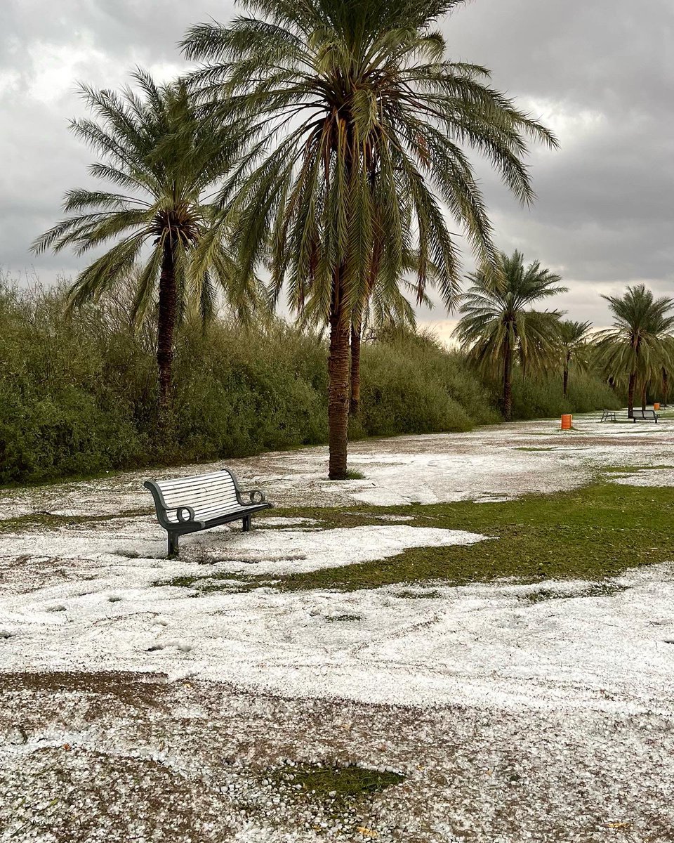 💜حمد الكتبي🇦🇪 tweet media