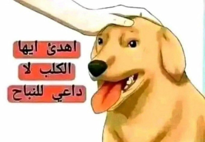 أسيل بني صخر✨ tweet media