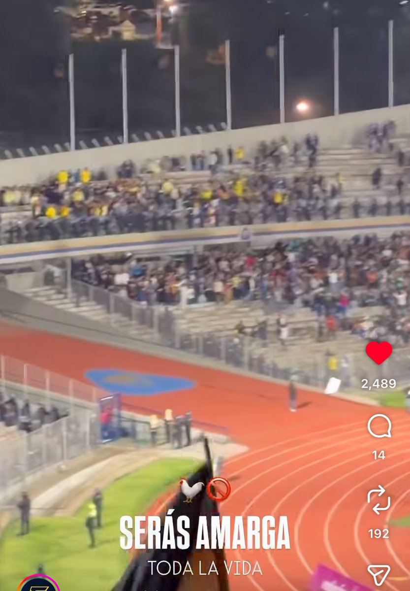 mediopicky tweet media