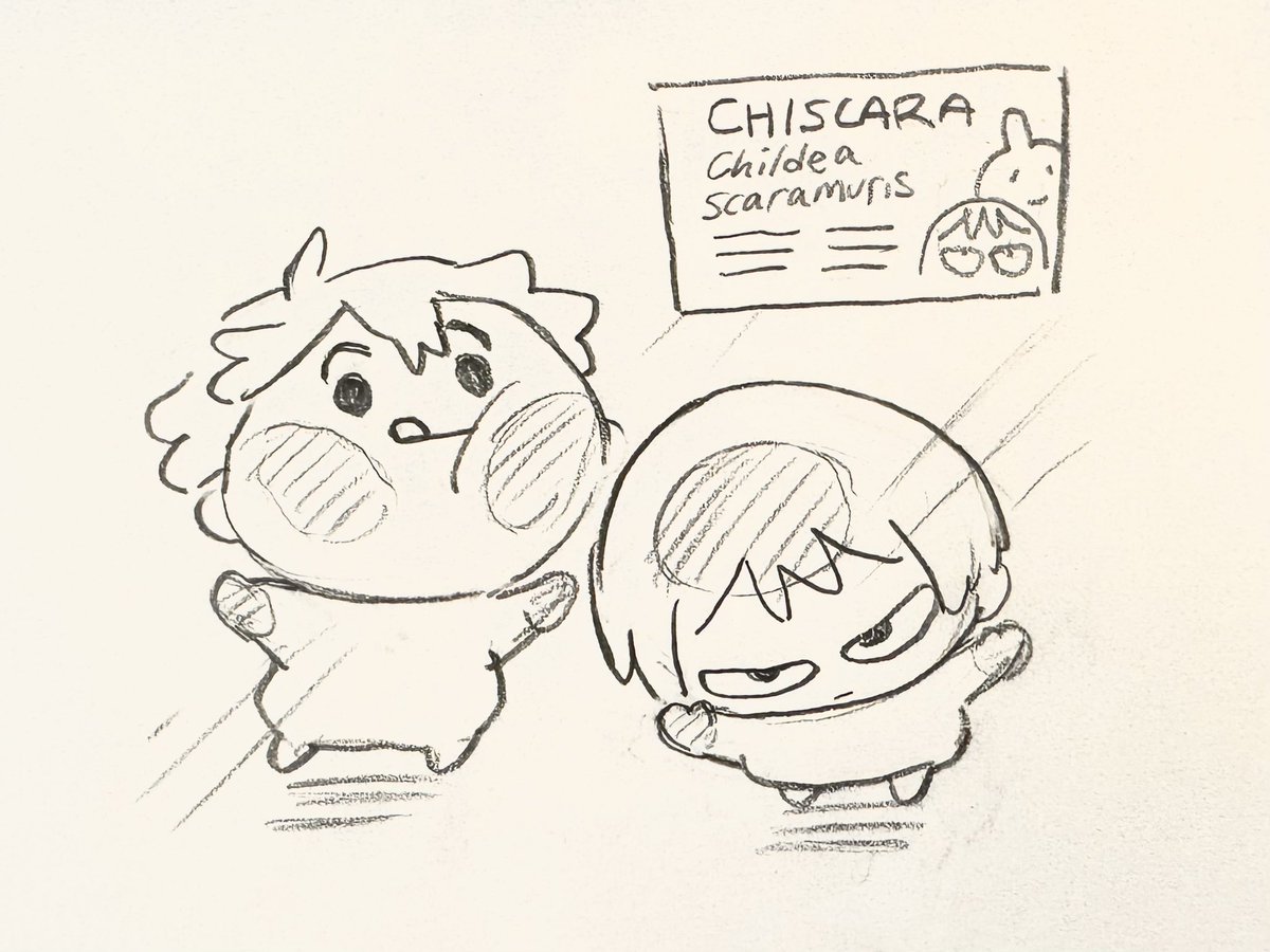 scara pattern baldness ⚡️siev? tweet media