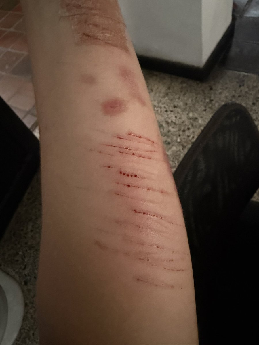 porcinitomagiko tweet media