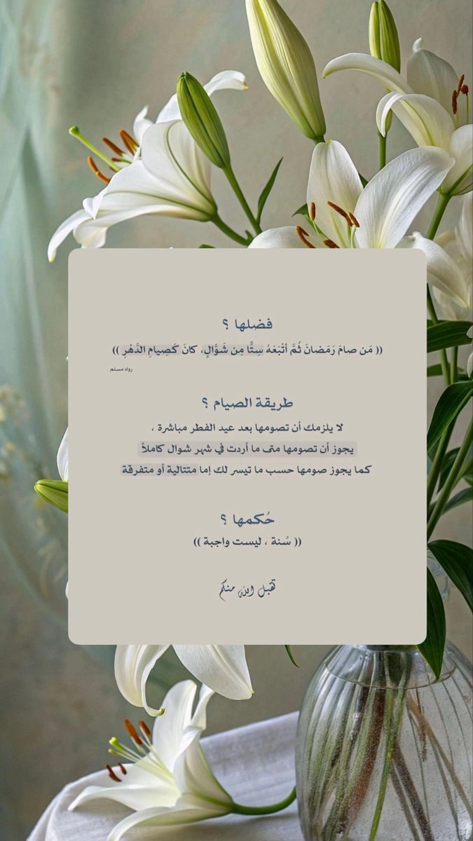𓋜 ↄⳋⳋᓗ̣ɹ̇ tweet media