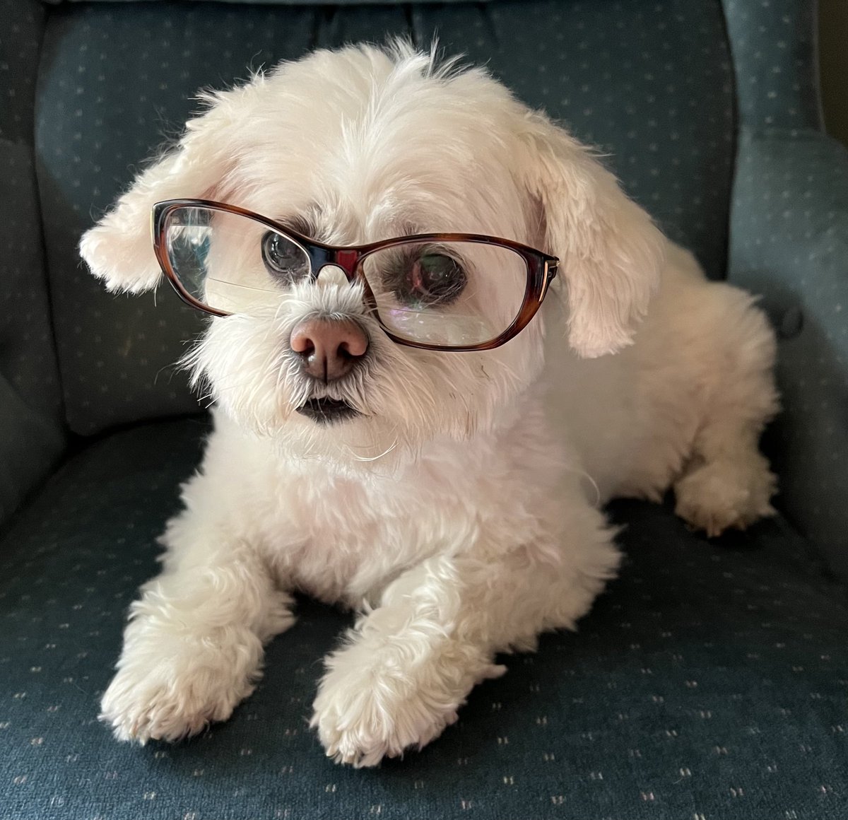 Stephanie Sidley tweet media