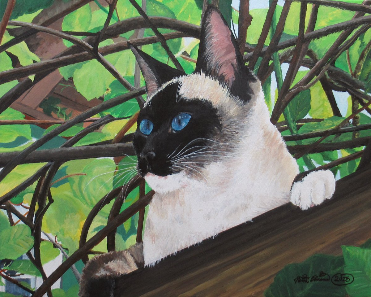 nethompson_nina's tweet image. Here's a painting that I completed on this day in 2025.
"Bird Watcher"
Acrylic paint on stretched canvas, size 16 x 20 inch.    

#cat #pets #painting #originalart #siamese #cats
