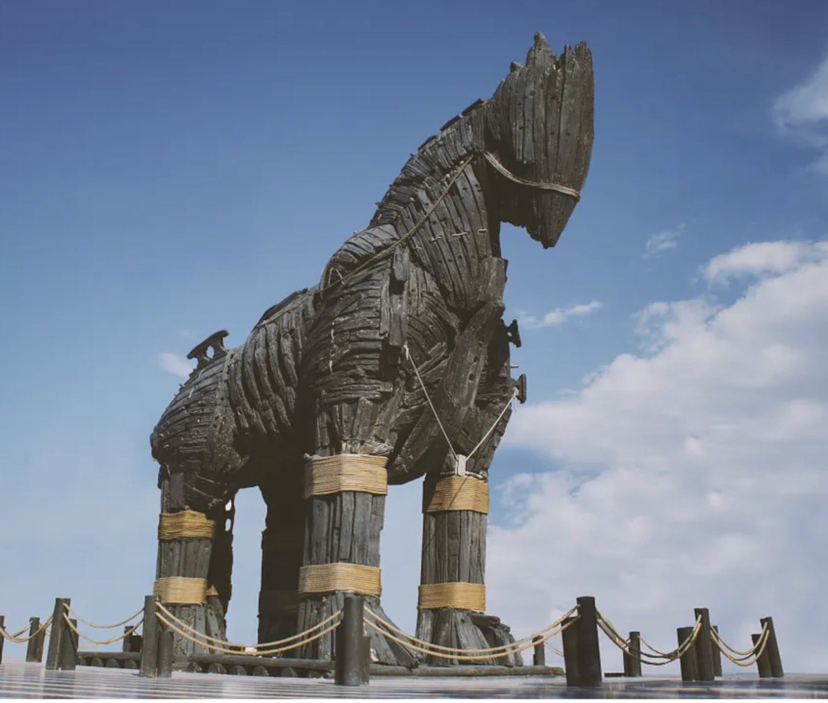 The Great Martis tweet media