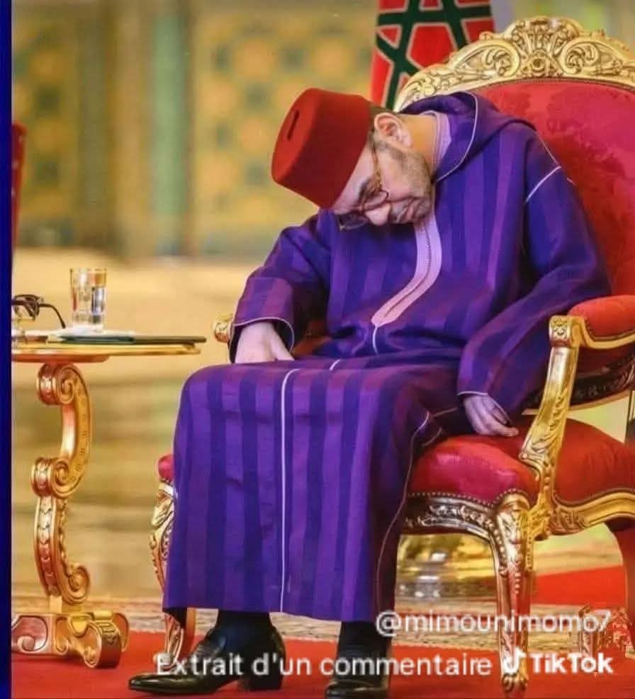 Badreddine Fisli tweet media