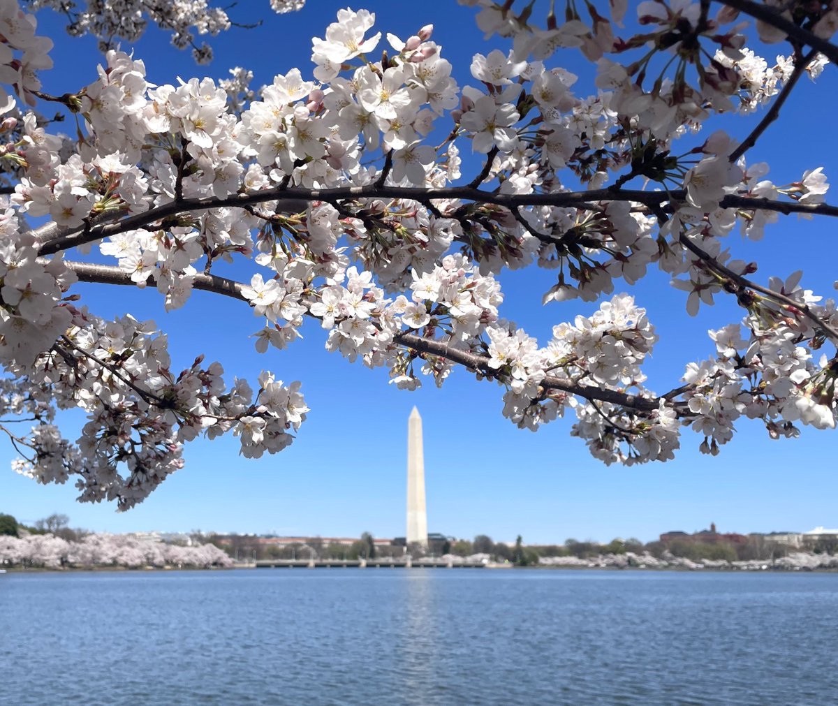 National Mall NPS tweet media