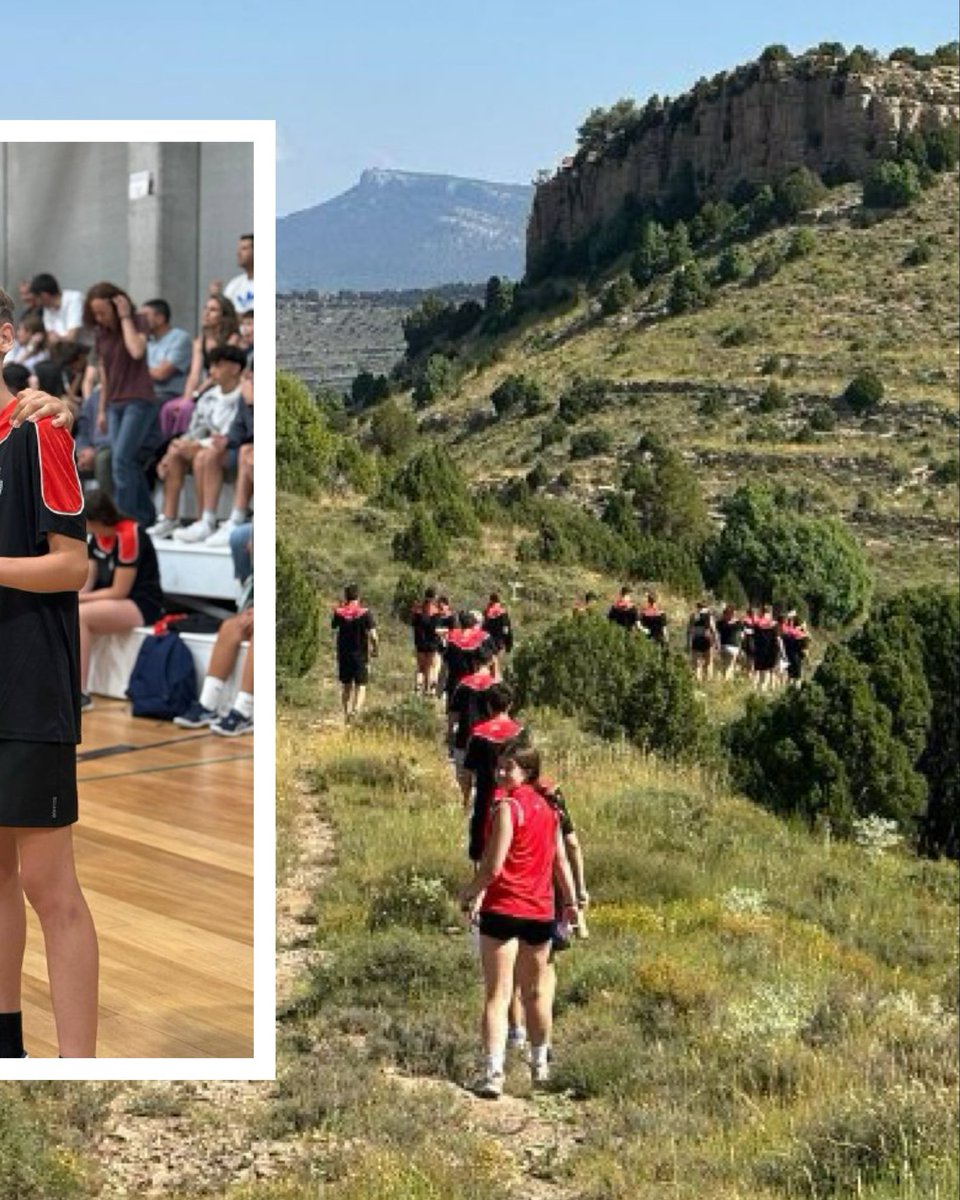 Fed. Aragonesa de Balonmano tweet media