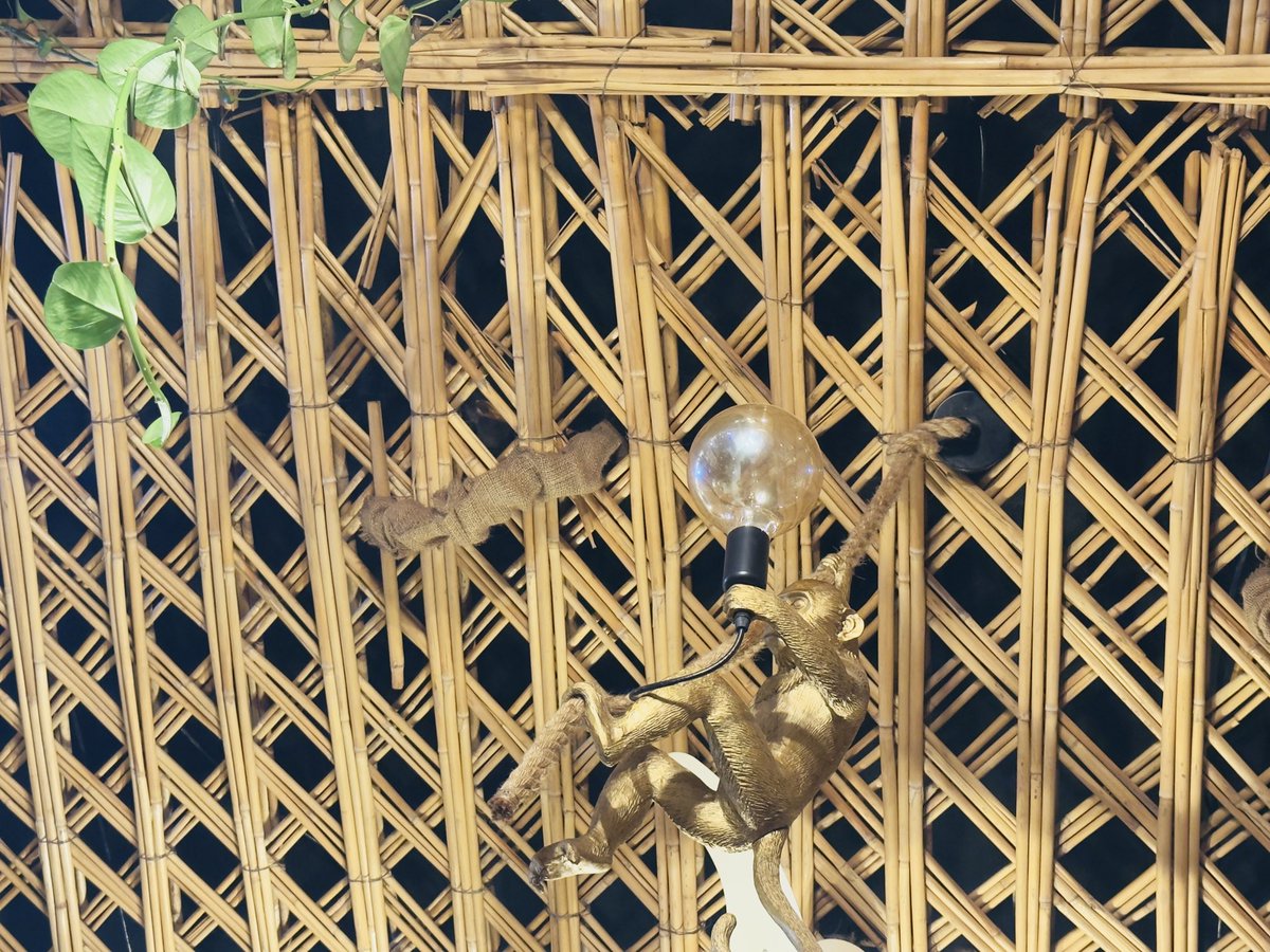 عمر القيسي tweet media