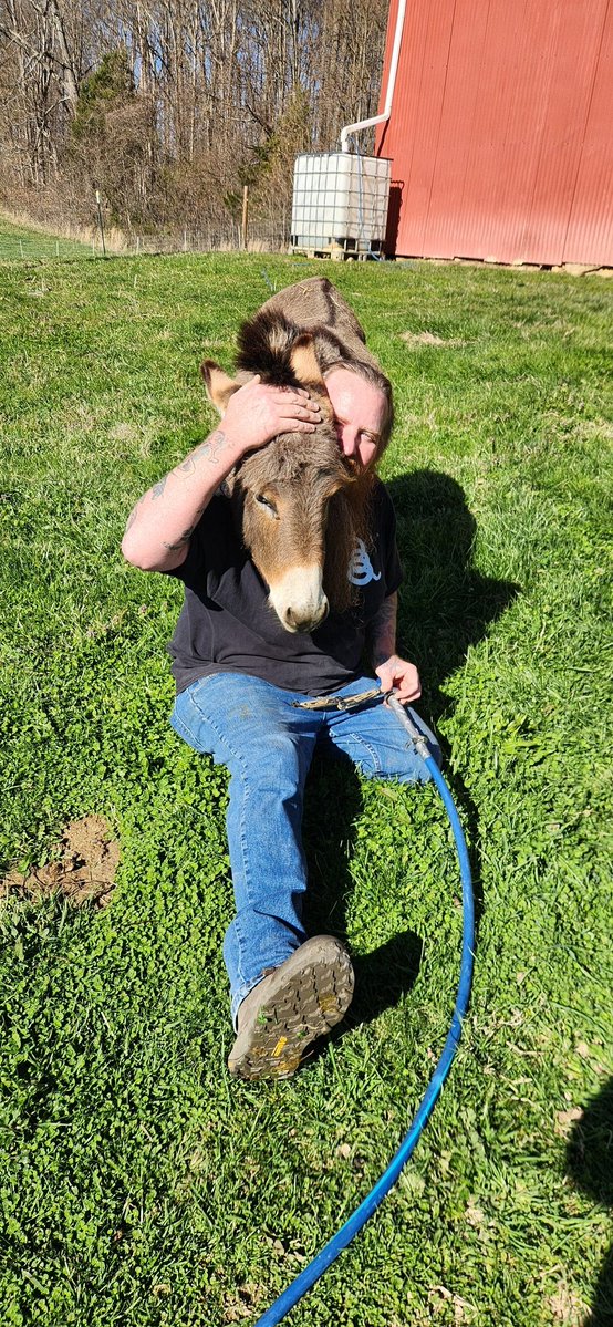 Step One Survival tweet media