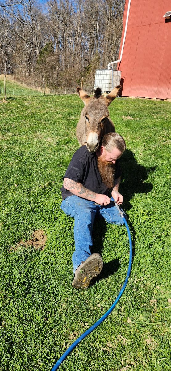 Step One Survival tweet media