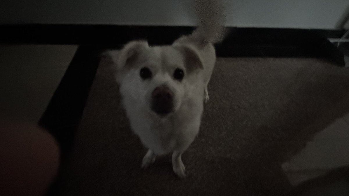 Z! #HOOK tweet media