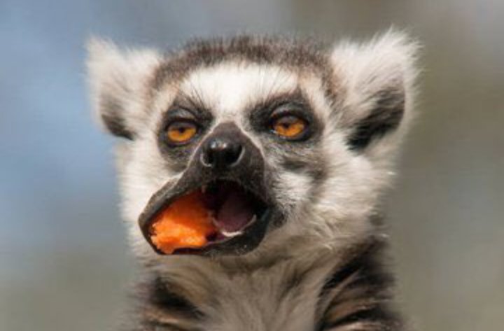 De EVIDENCE 🌎💡 tweet media