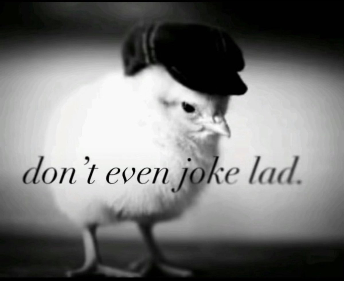 BigDahBobTTV tweet media