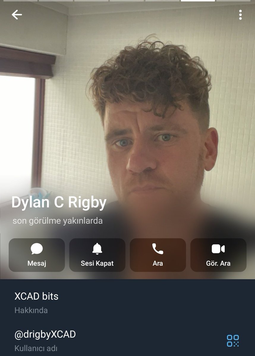 Crosstrike tweet media