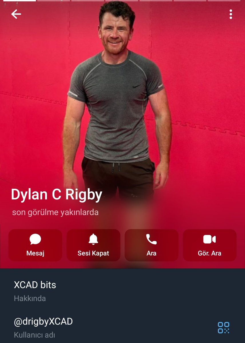 Crosstrike tweet media