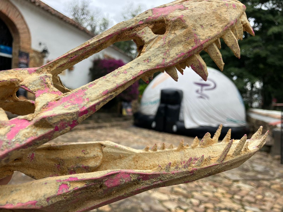 Sede Bogotá - Universidad Nacional de Colombia tweet media