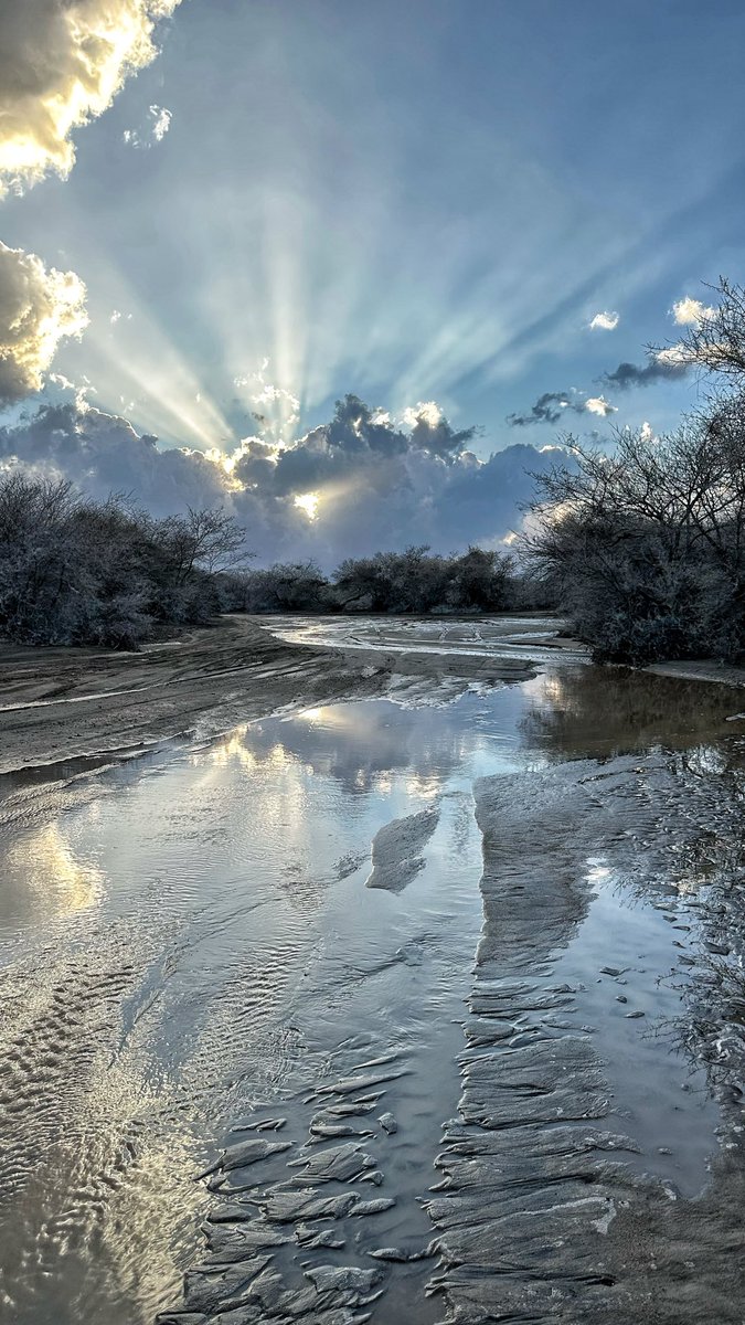 عبدالرحمن tweet media
