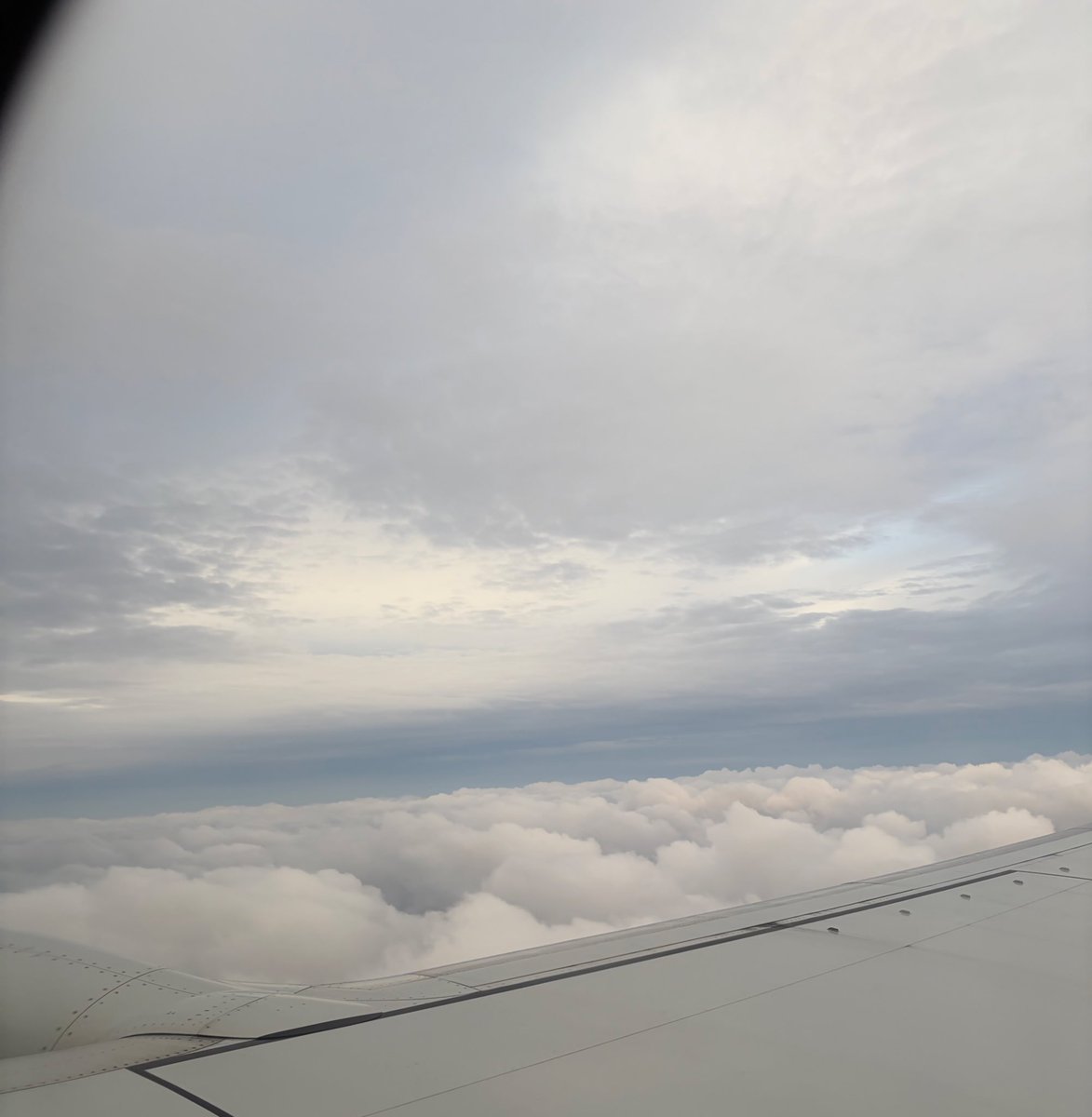 りなたんっ🍯🥀あなたのｷﾙﾎﾟ♡ tweet media