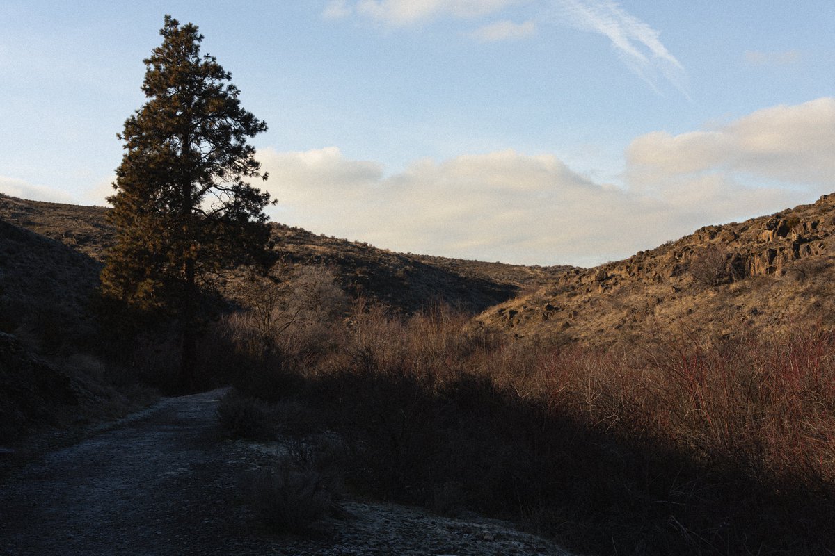 mikayla 🏳️‍⚧️ tweet media