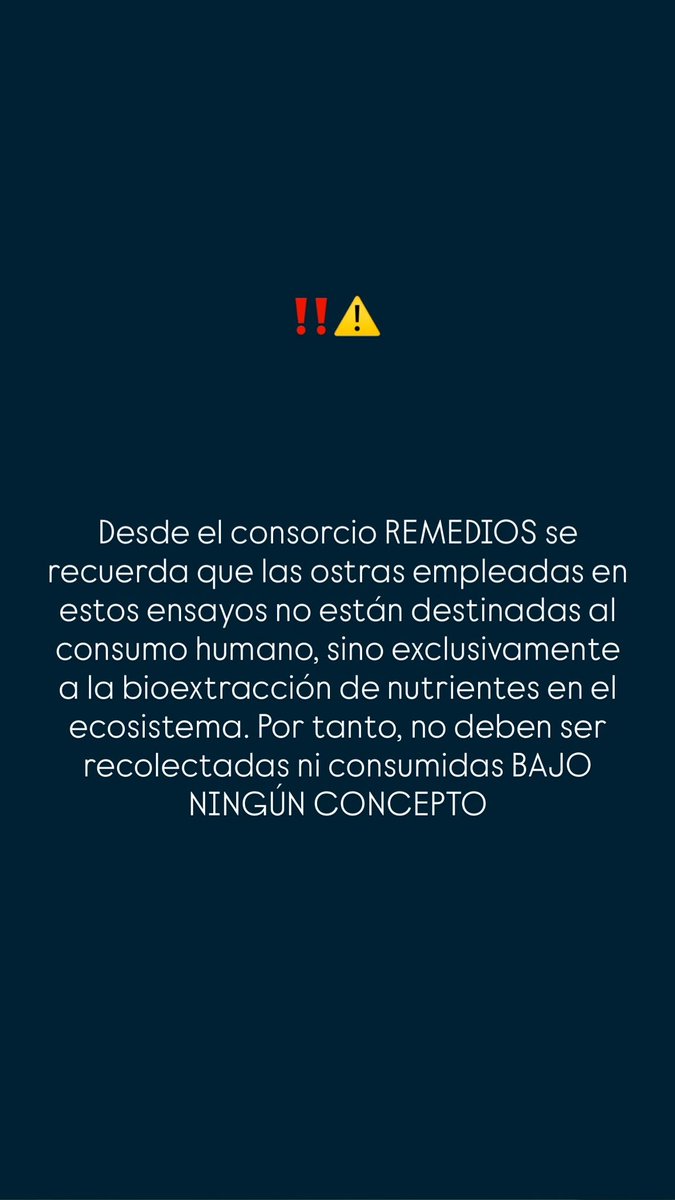 RemediOS 🦪 tweet media
