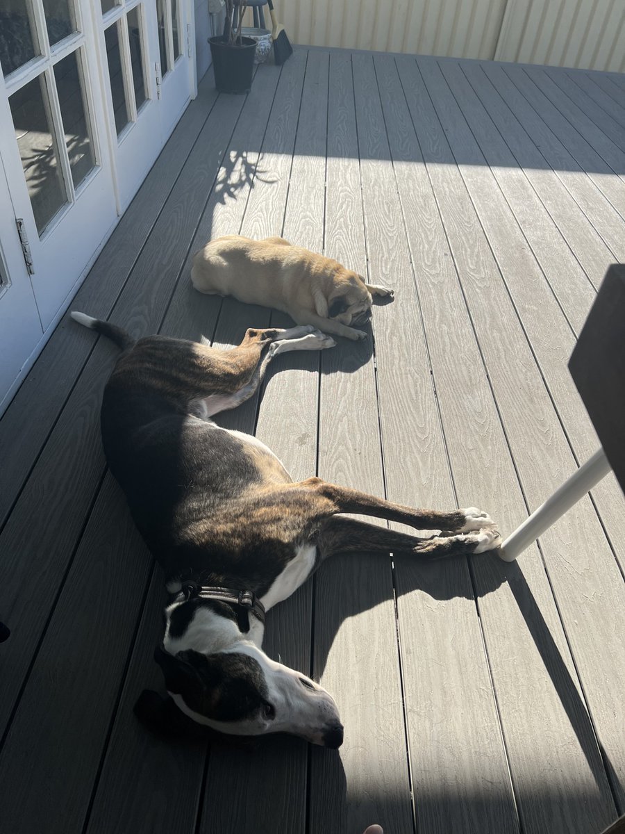 𝕾𝖎𝖗 𝕵𝖔𝖍 🐳 🎧 tweet media