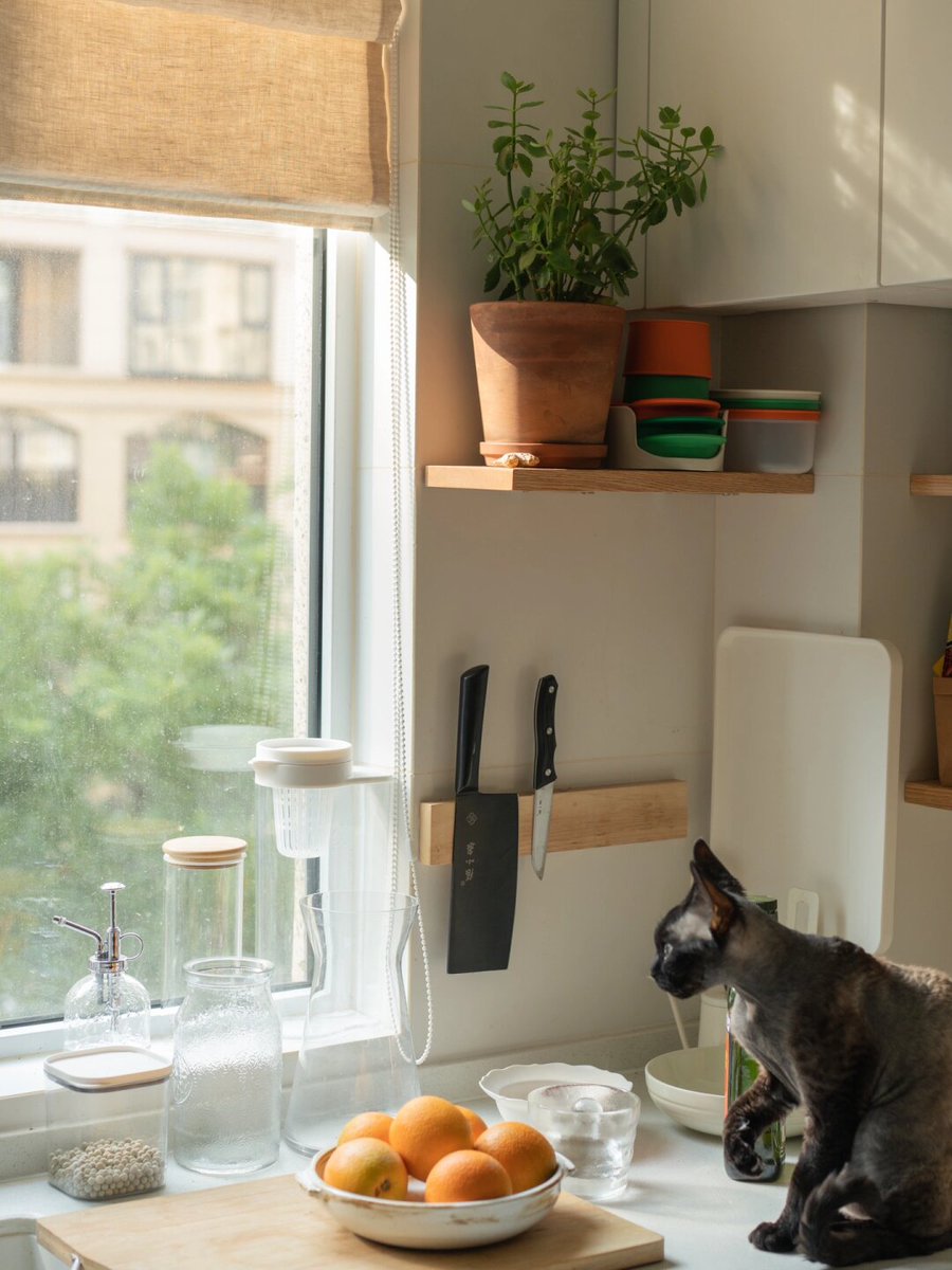 Aneudy taveras tweet media