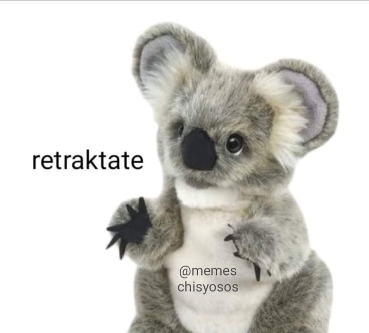 ZⅠⅠRO🦝🔞 tweet media