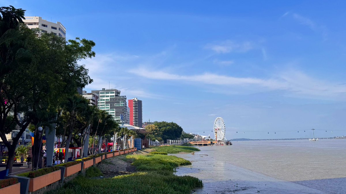 Pablo Carrera tweet media