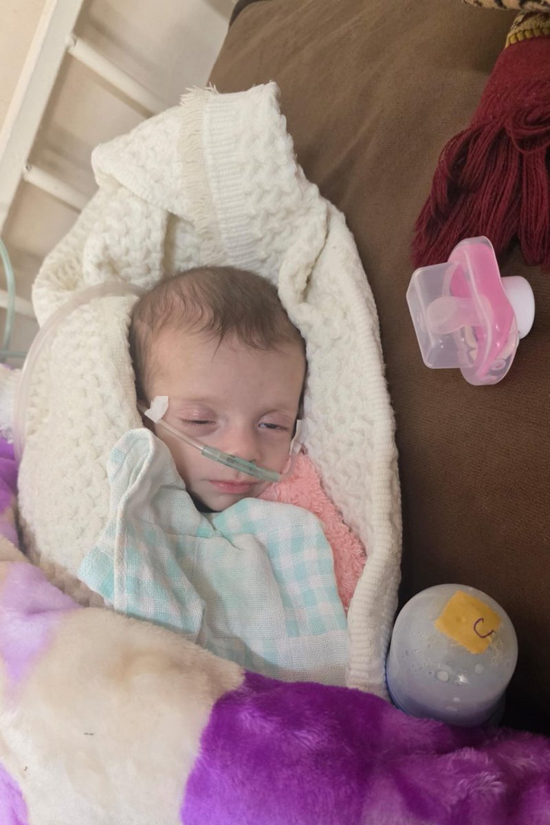 نير حسون Nir Hasson ניר חסון tweet media