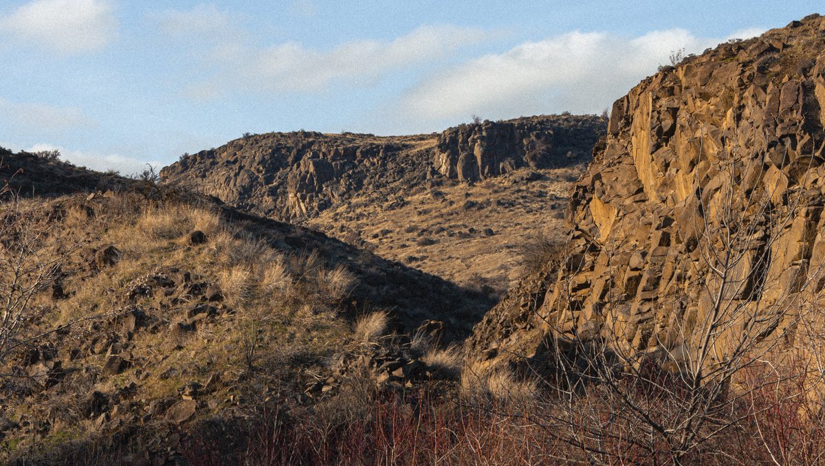 mikayla 🏳️‍⚧️ tweet media