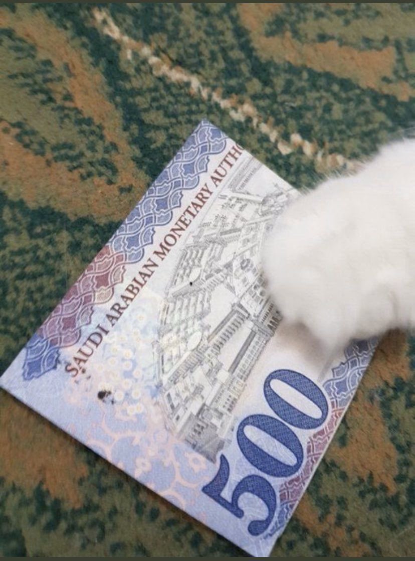 جُـودي tweet media