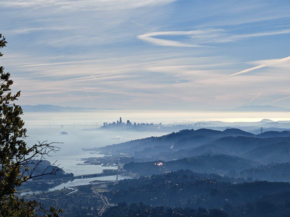 Frank van Puffelen tweet media