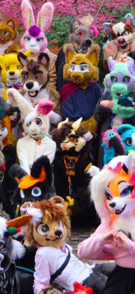 🍀🐮Clover 🔜 CFz26 tweet media