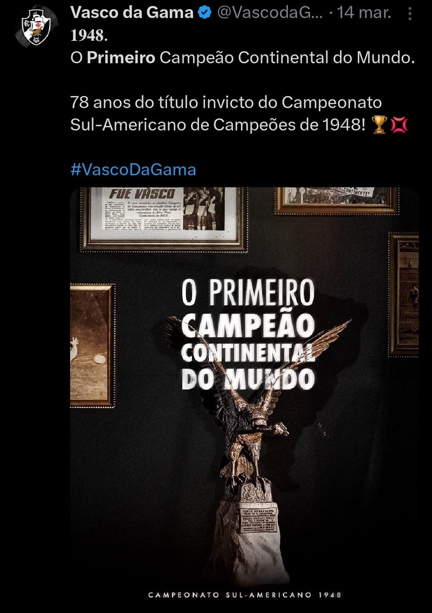 fanta botafoguense campeão da série B 2027 tweet media