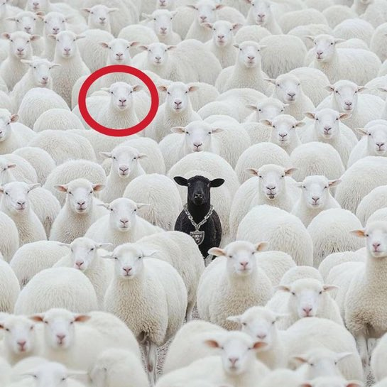 Dann 🌕heterophobia is unbreakable 💎 tweet media