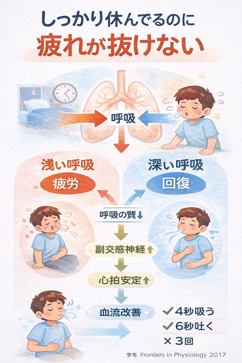 井上 先生｜カラダを治す専門家 tweet media