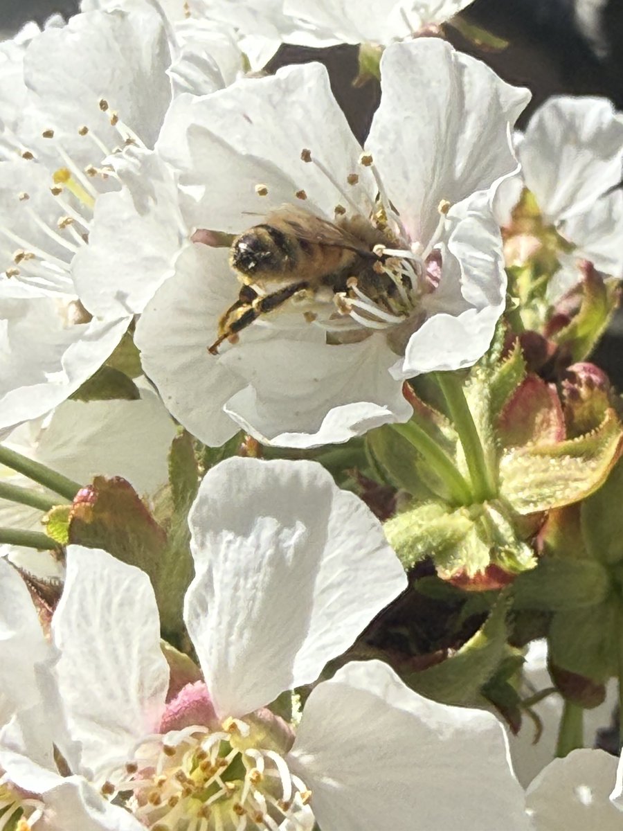 expert bimbologist™️ tweet media