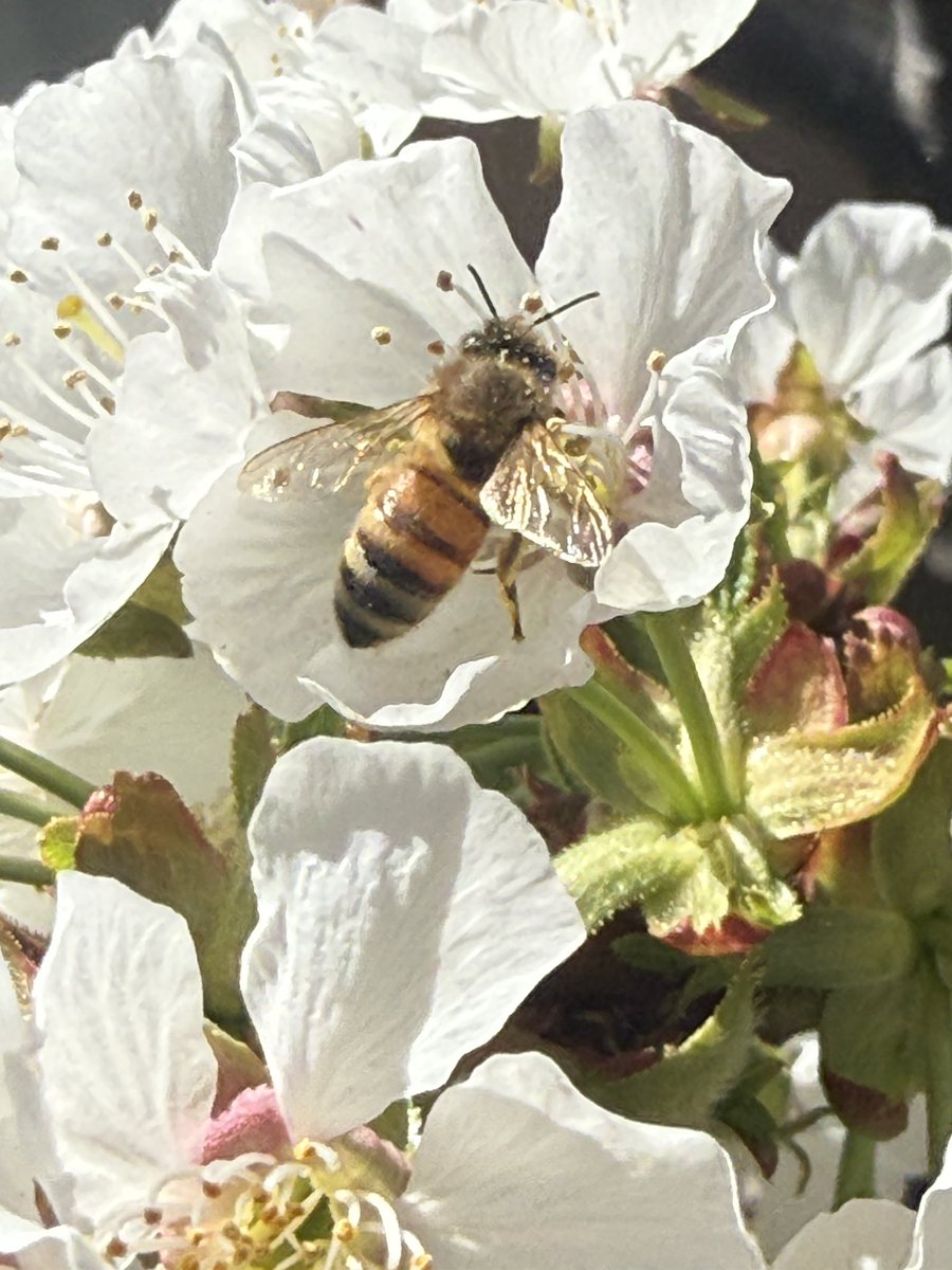 expert bimbologist™️ tweet media