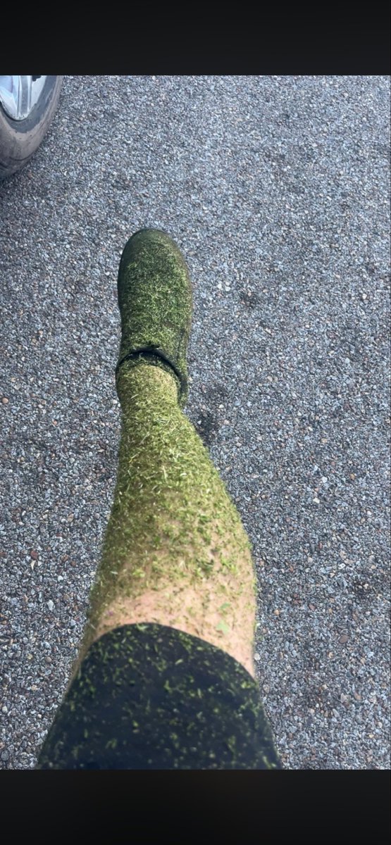 We’re Beat tweet media